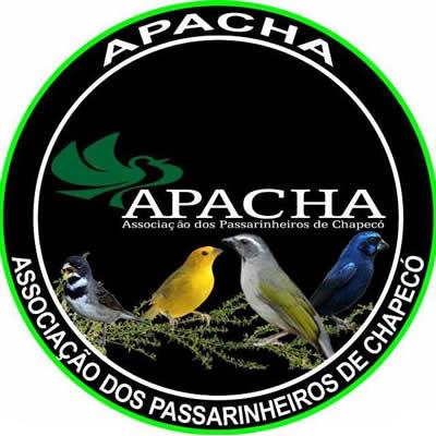 Apacha