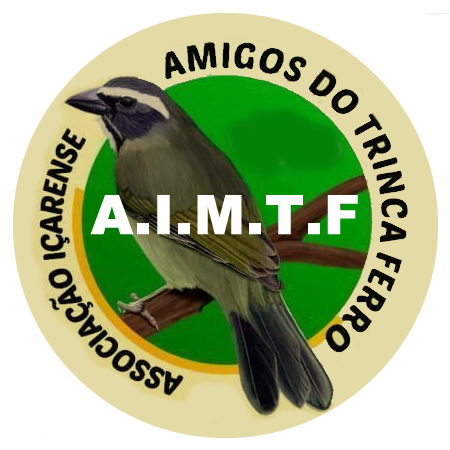 AIMTF - Içara
