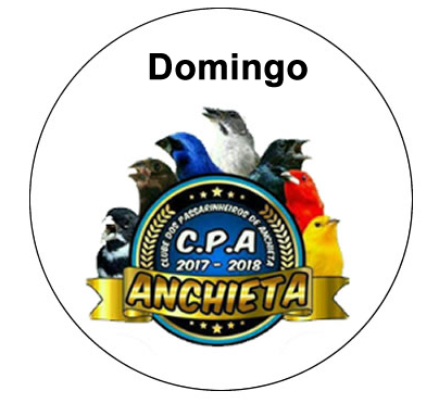 Clube Anchieta - Domingo
