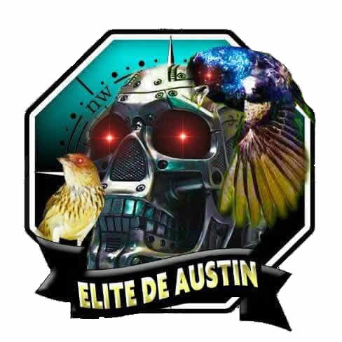 Elite de Austin - RJ